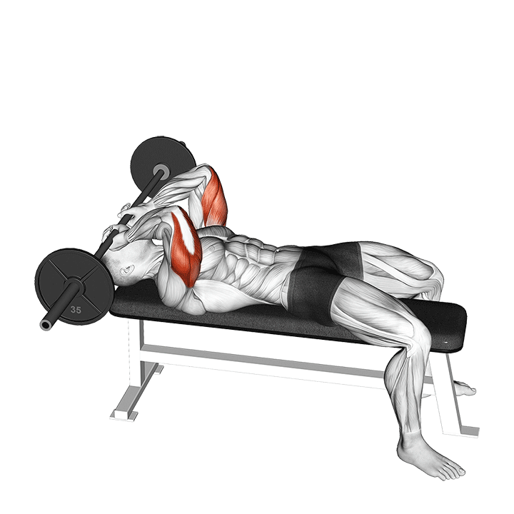 00601301-Barbell-Lying-Triceps-Extension-Skull-Crusher_Triceps-SFIX_720