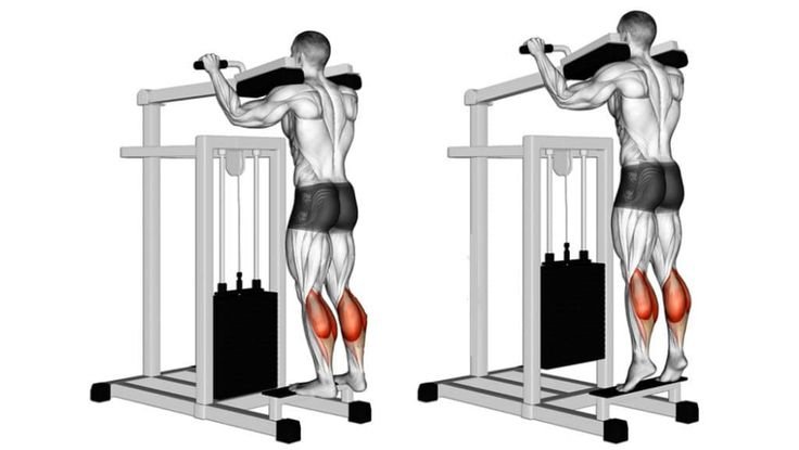 Elevación de talones (Calf Raises)