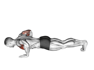 Flexiones (Push-Ups)