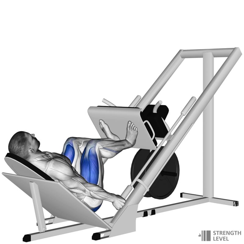 Prensa de piernas (Leg Press)