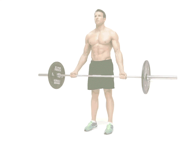 curl de bíceps con barra (barbell curl)